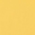 FST 2,72X11M 1040 BULL