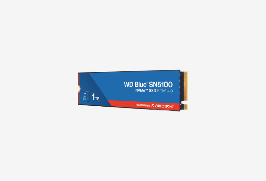 WDS100T5B0E_0126709110305