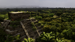 Railway Empire - Mexico (для ПК, цифровой код доступа)