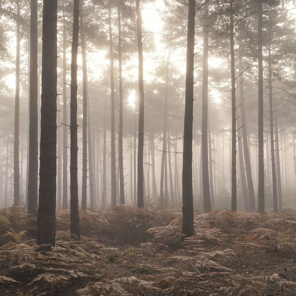 Atmosphere панно