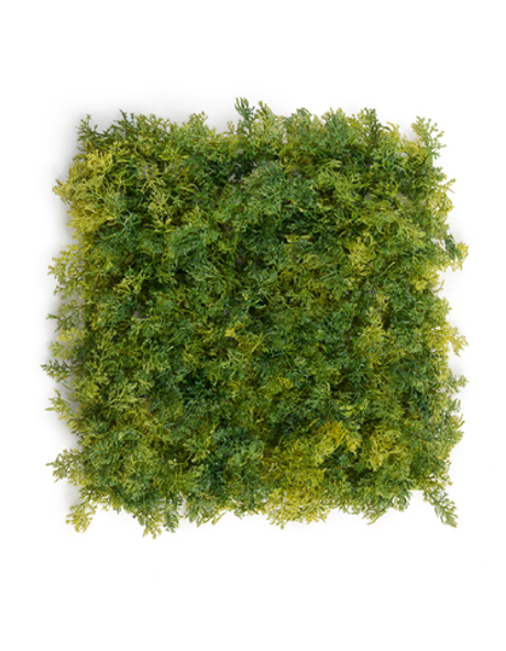 Мох Ягель зелёный микс (коврик)