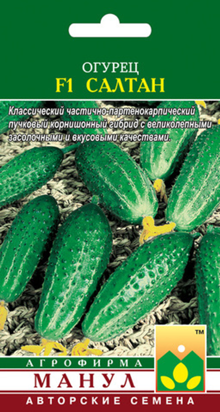 Огурец Салтан Манул