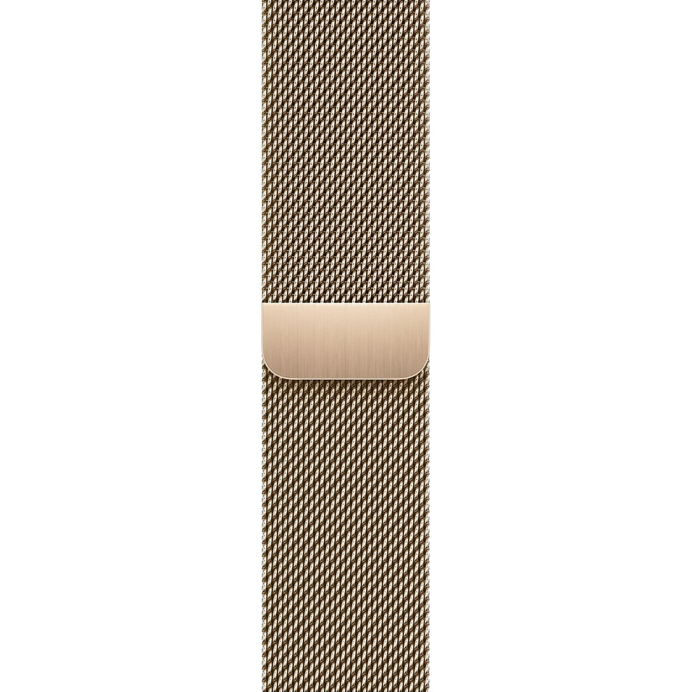 Apple Watch S9 41mm Gold / Stainless Steel Case