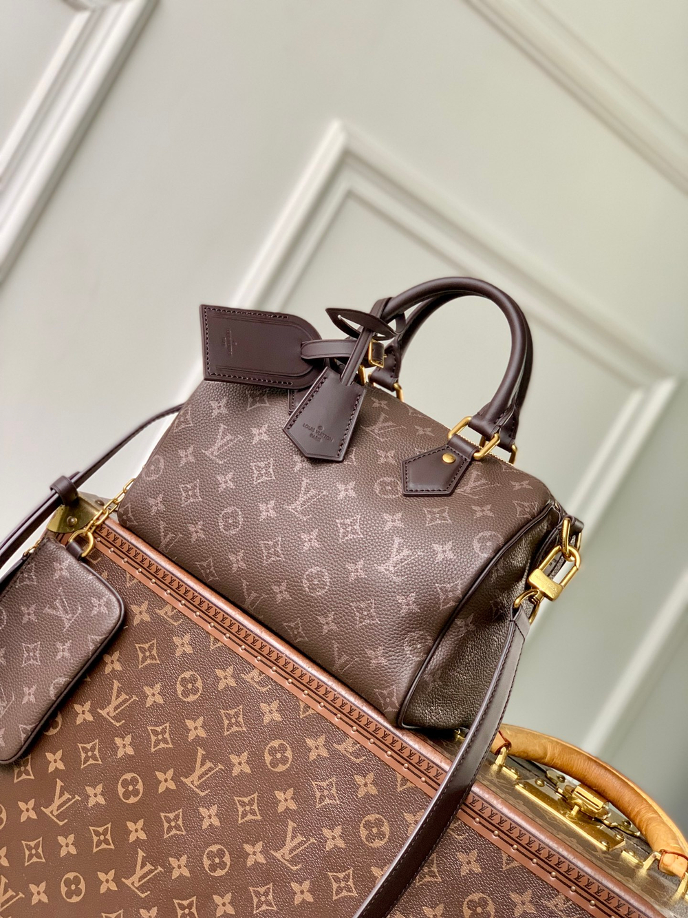 Louis Vuitton Speedy P9 Bandouliere 25
