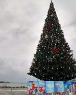 Ограждение для Ствольной уличной искусственной елки