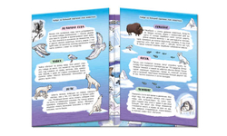 a96cef81_9908_11eb_80e1_002590ea7b7b_dd3fe67b_f370_11eb_80e5_002590ea7b7b