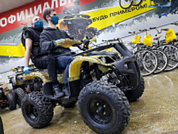 Квадроцикл PROMAX ATV 250 (2025)
