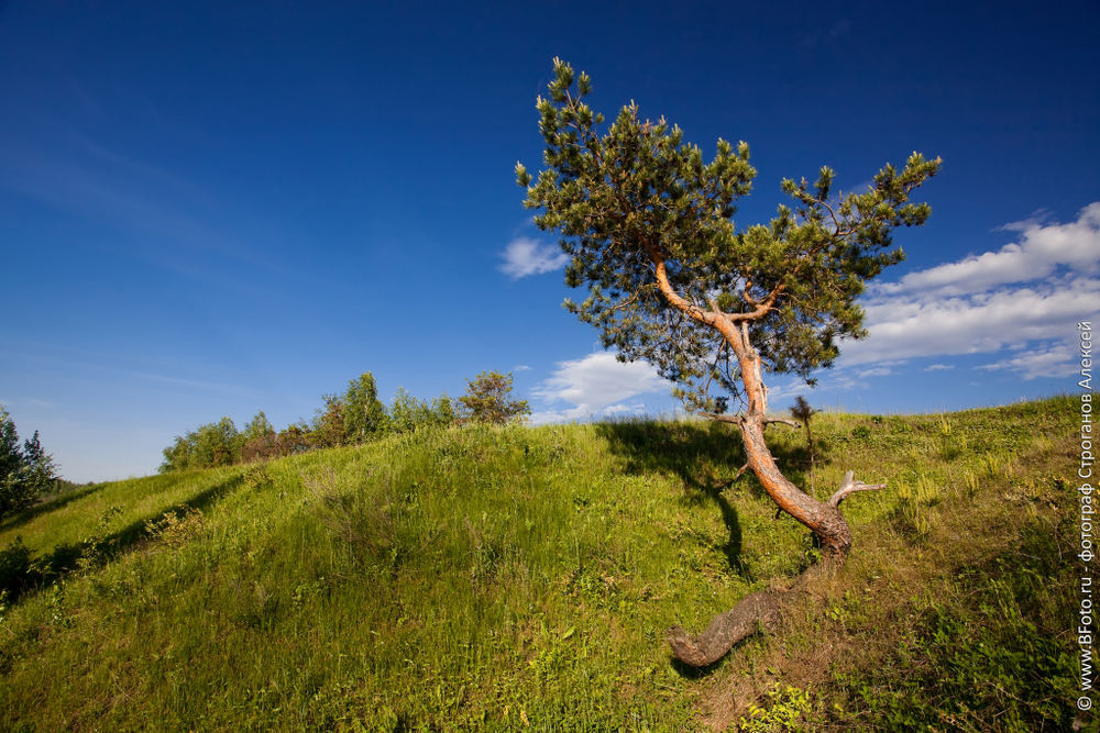 Футболка Burzum