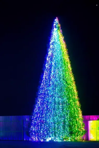 Комплект освещения Хамелеон RGB для елей высотой 10 м., 20 шт.*12 м., Green Trees (Ham10)