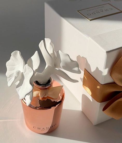 Sensual Camellia mini, ароматический диффузор с необычными палочками, Chando