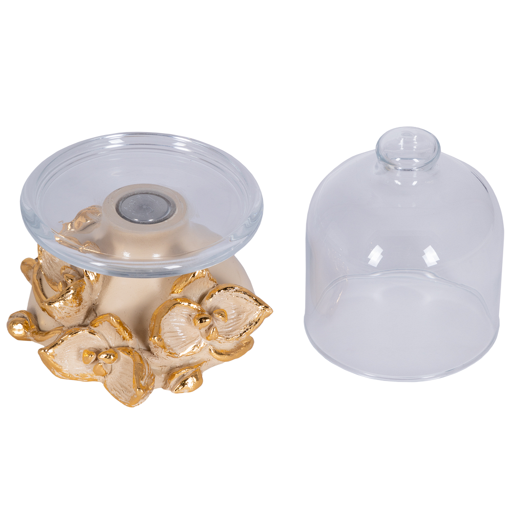 Лимонница Орхидея Лайм Айвори