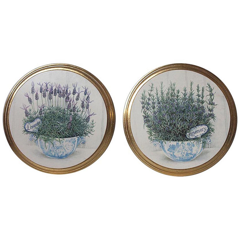 Картины "Травы"