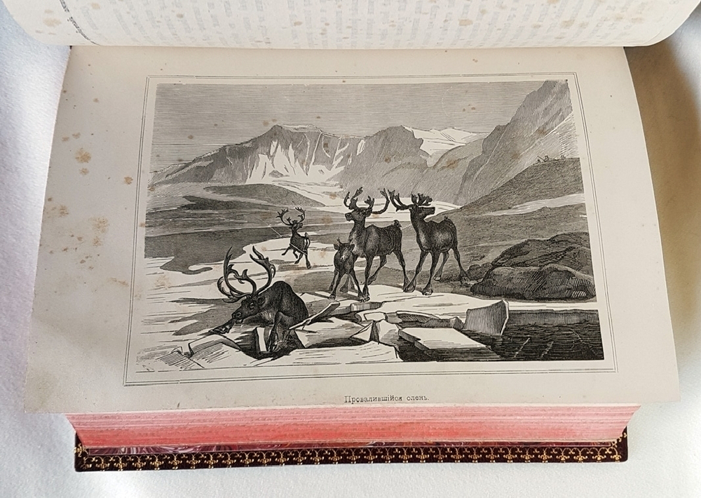 "Путешествие на Север вдоль норвежского берега на Нордкап, остров Ян-Майен и Исландию..."  Карл Фогт. 1867 г.