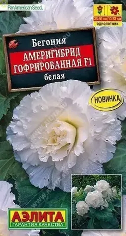 Бегония Америгибрид гофрированная белая F1 5шт Аэлита