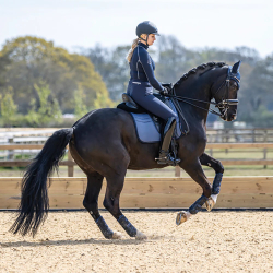 Вальтрап выездковый LeMieux ULTRAMESH