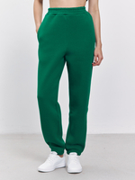 Брюки женские с начесом (зеленый)