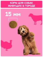 Сухой корм MOLINA SENSITIVE HYPOALLERGENIC для взрослых собак всех пород с Индейкой и ягненком 12кг