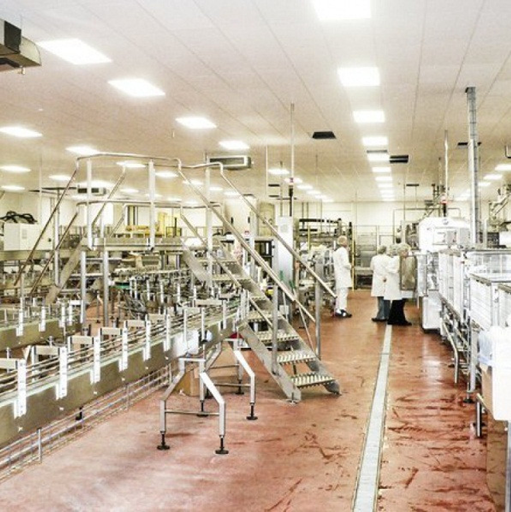 Плита потолочная Ecophon Hygiene Performance А 1200х600х40 мм