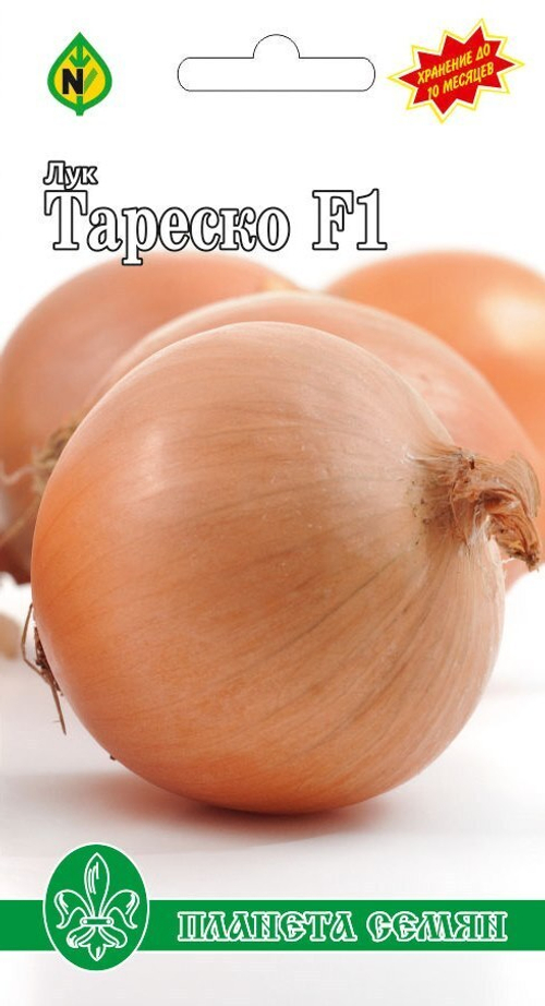 Лук репчатый Тареско F1