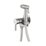 Гигиенический душ со смесителем встраиваемый Raglo R20.54.05, сатин