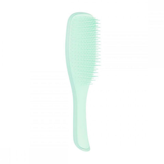 Расческа Tangle Teezer The Wet Detangler Fine & Fragile Sea Spray Green