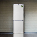 Холодильник DON R-290 В