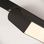 Трековый светильник Technical TR013-2-10W3K-B