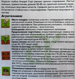 Лук  на зелень Перо Жар Птицы 0,5 г