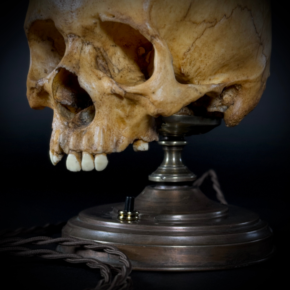 Ночник «Чендлер»