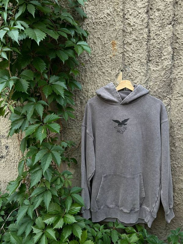 Худи Surf Eagle вареный серое - фото 1