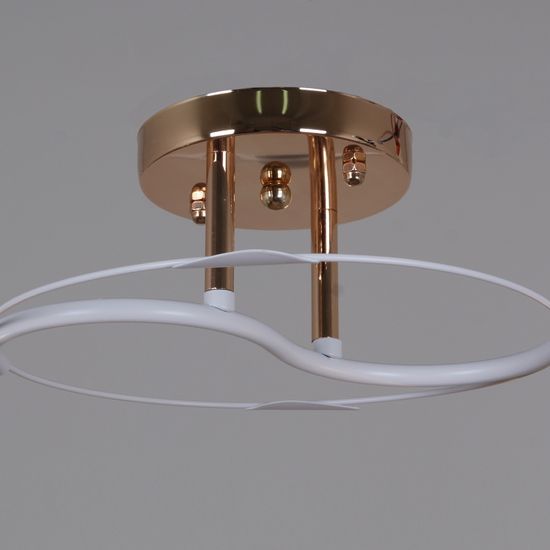 06003-0.3-02 FG+WT светильник потолочный