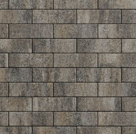 Тротуарная плитка ПРЯМОУГОЛЬНИК 300х100 мм - Листопад гладкий Старый замок