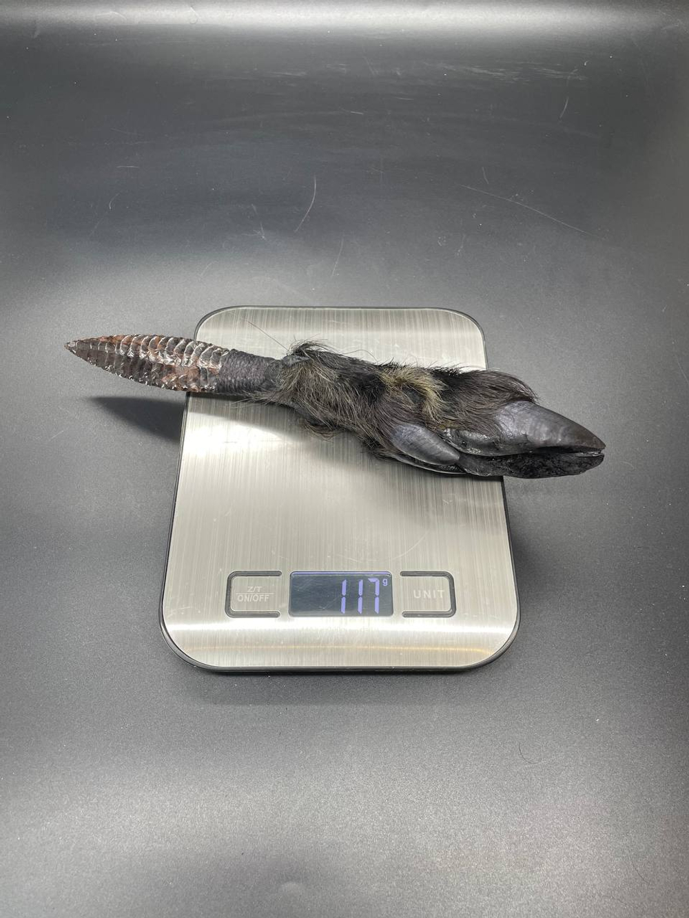 Обсидиановый нож с рукоятью копыта вепря 25 см