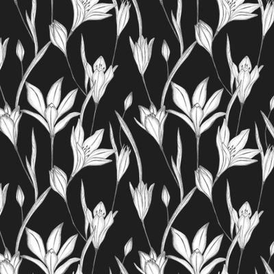 Цветы Бродеи нарисованы вручную на черном фоне. Botanical seamless pattern.