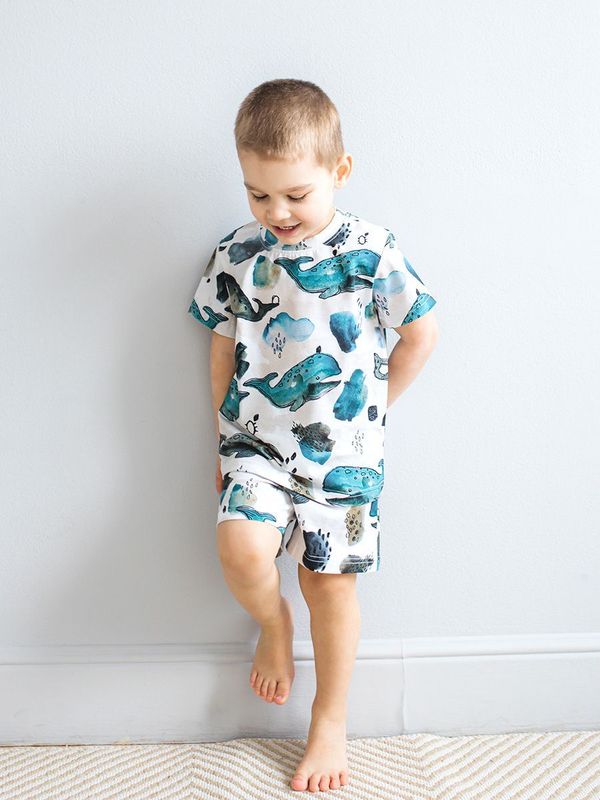 Комплект Киты 4478