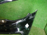 DSCN3687.jpg