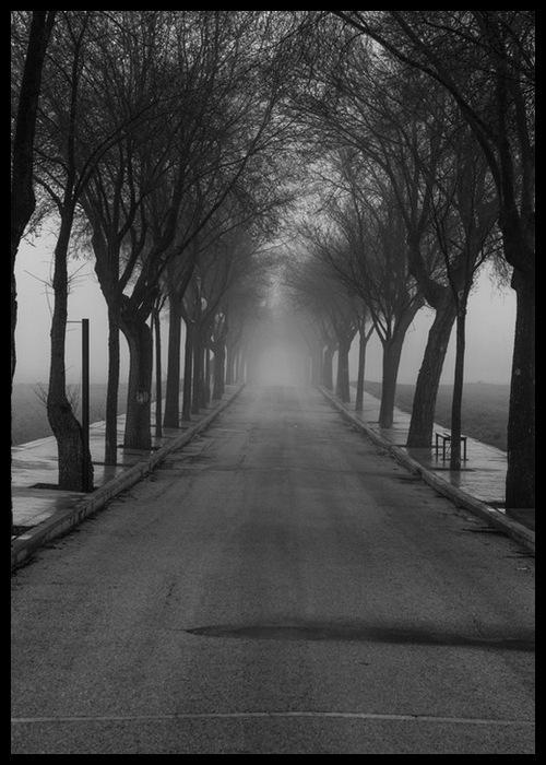 Интерьерная картина в технике цифровой печати. АРТ 024 Черное и белое