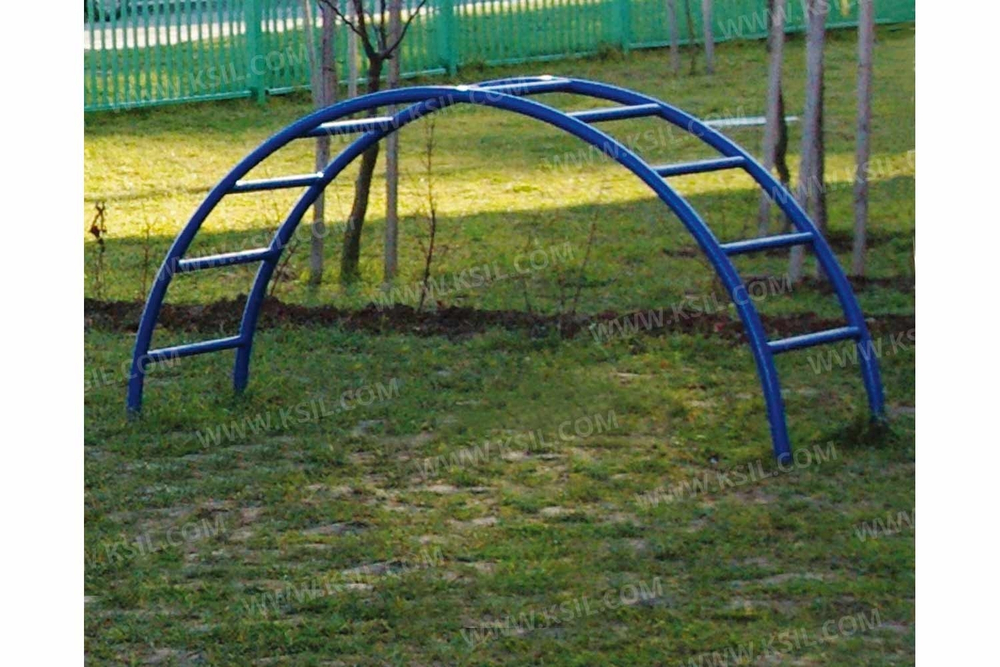 Лиана средняя