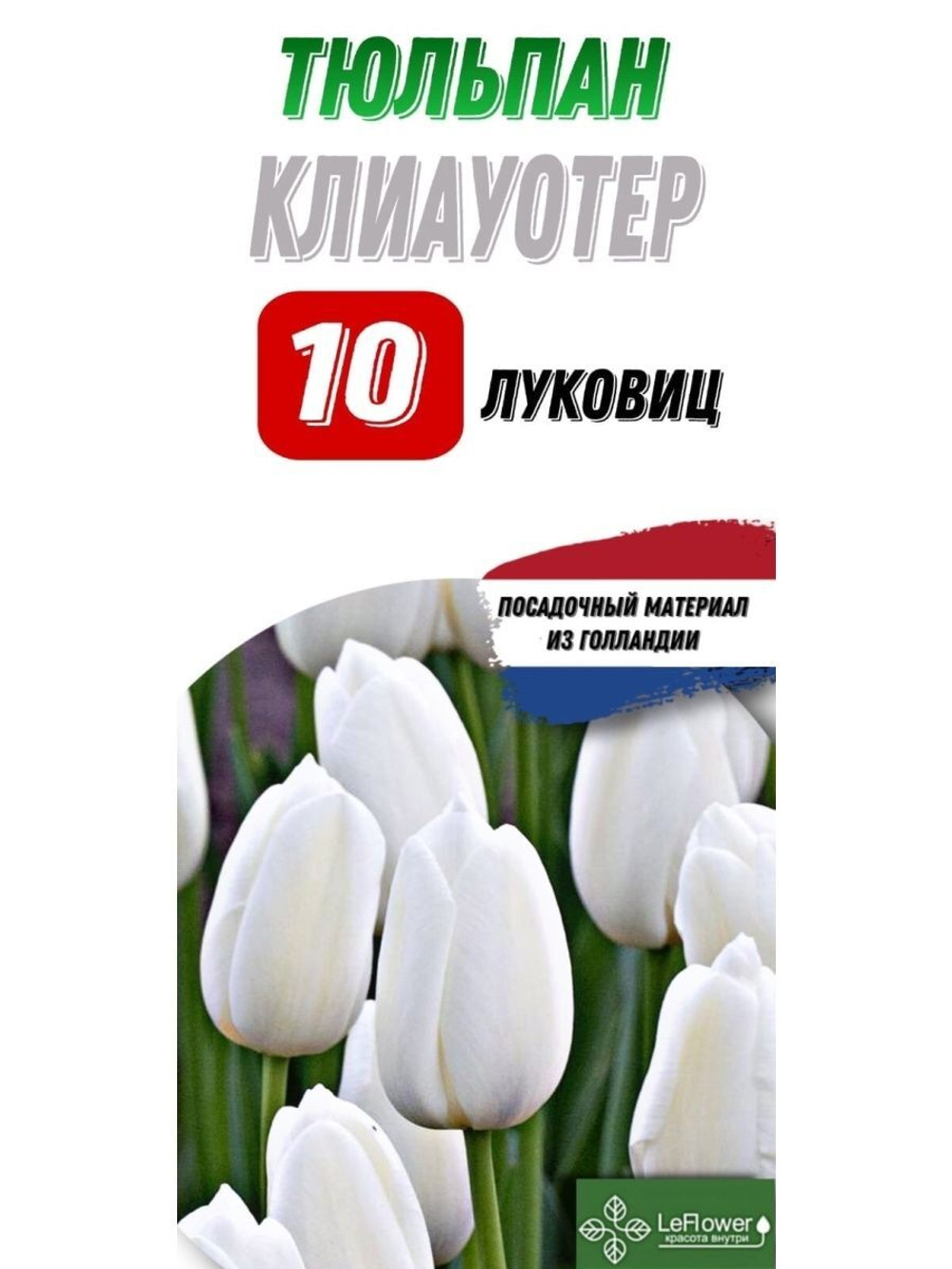 Тюльпан Луковица, Клиа Уотер, 10шт
