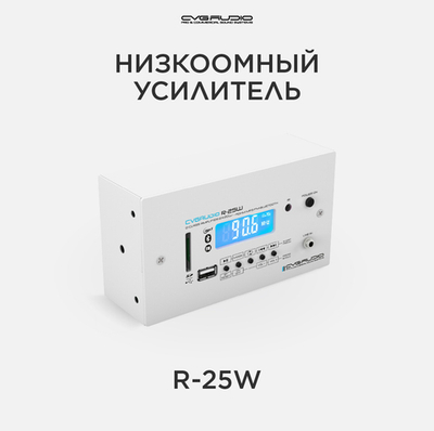 CVGAUDIO R-25W Усилитель 4-8ohm