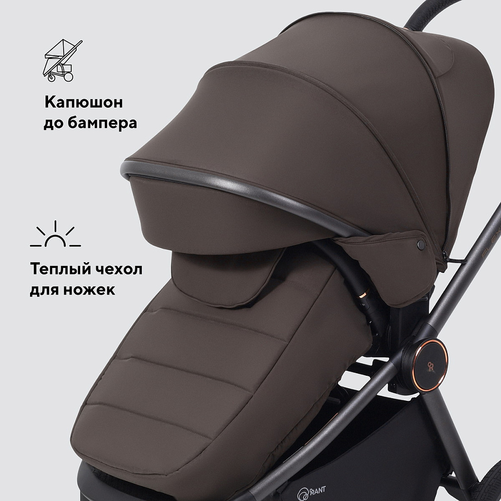 Детская коляска Rant Flex Therm Soft 3 в 1 с автокреслом Cruise Grey Shine Brown