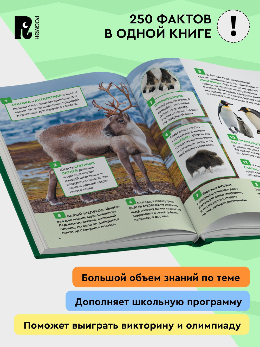 Удивительные животные. Энциклопедия российского школьника