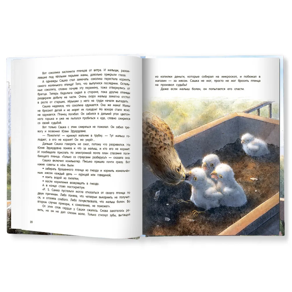 Мои соседи соколы