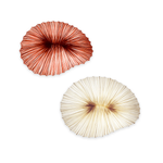 Настенный дизайнерский светильник Baby Coral by Aqua Creations Studio