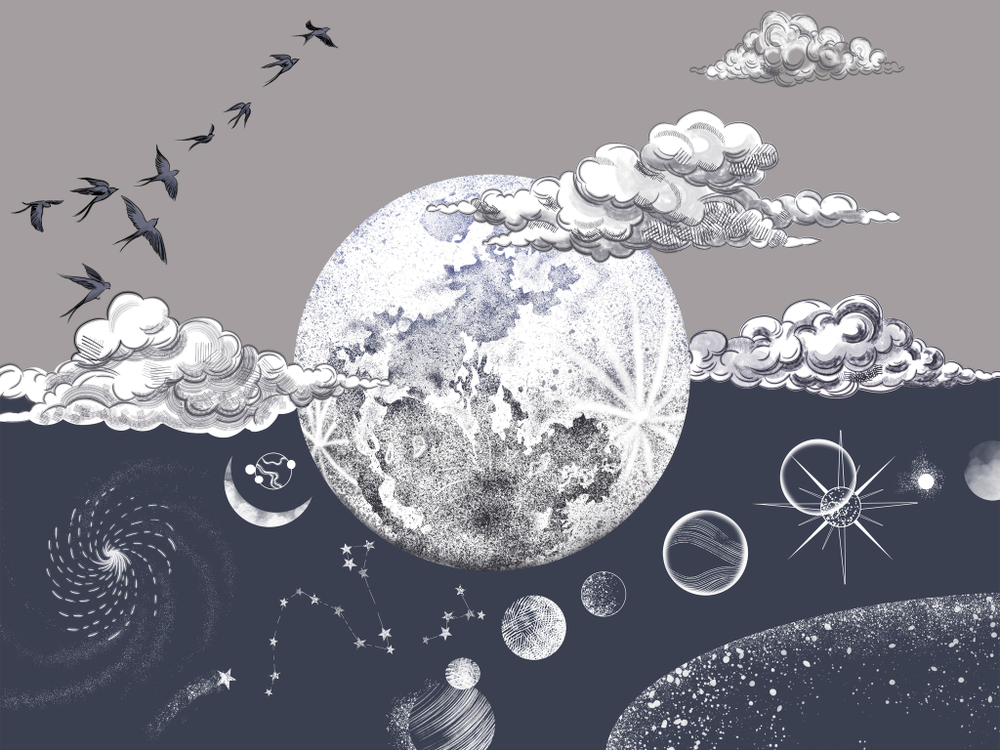 Коллекция COSMOS