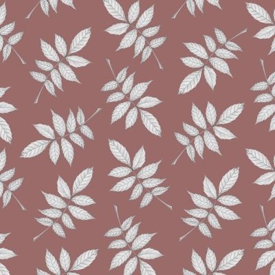 ЛИСТЬЯ КЛЁНА ЯСЕНЕЛИСТНОГО НА ГРЯЗНОМ РОЗОВОМ ФОНЕ