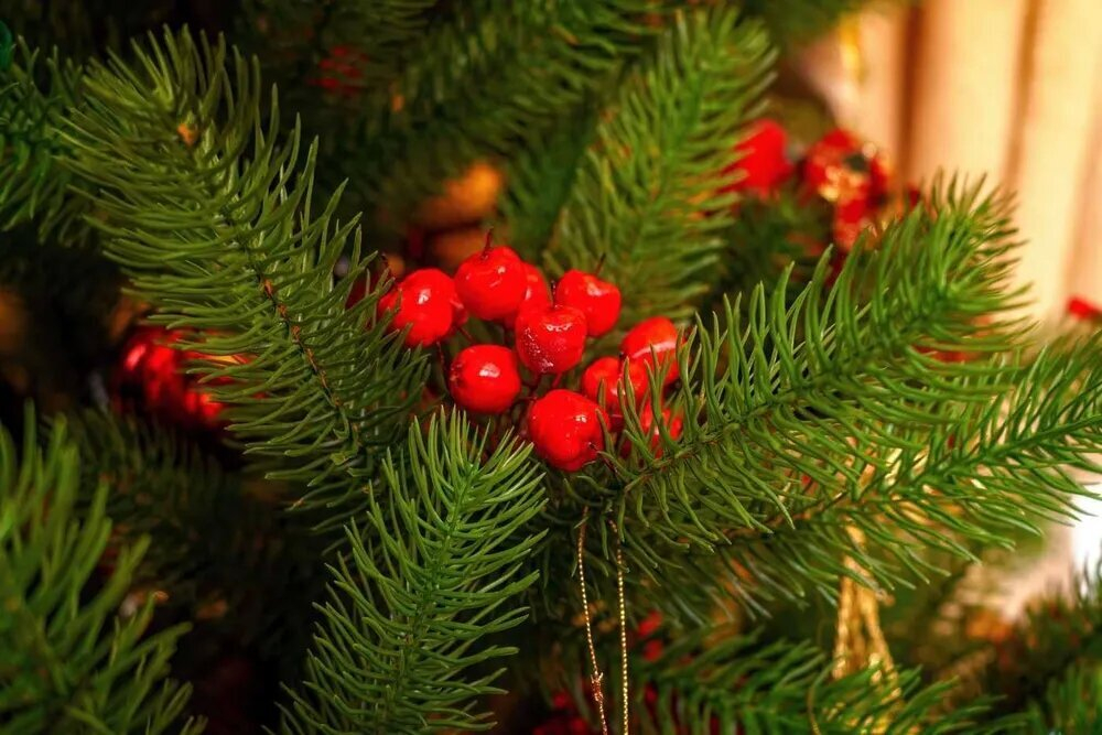 Ель искусственная Царь Елка Алиса, АЛС-190