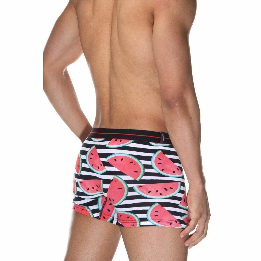 Трусы мужские боксеры черно-белые с принтом "Арбузы" DARKZONE DZN2061