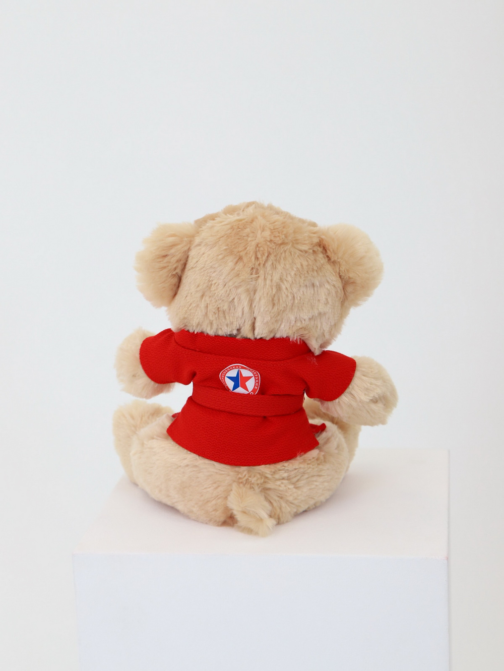 Мишка сувенирный в курточке САМБО красный