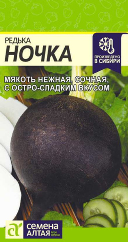 Редька черная